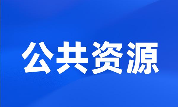 公共资源