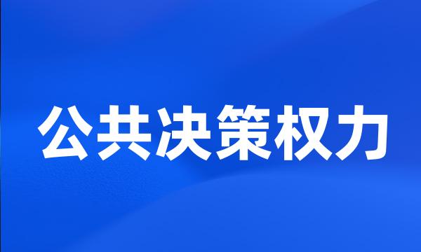 公共决策权力