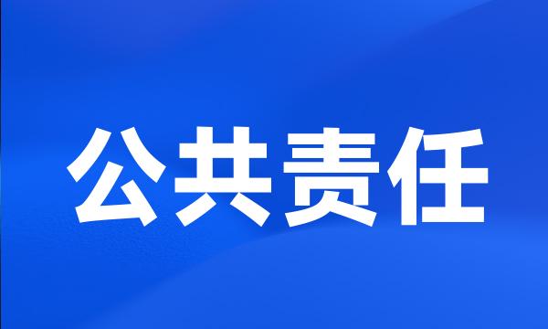 公共责任