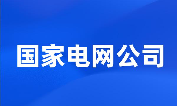 国家电网公司