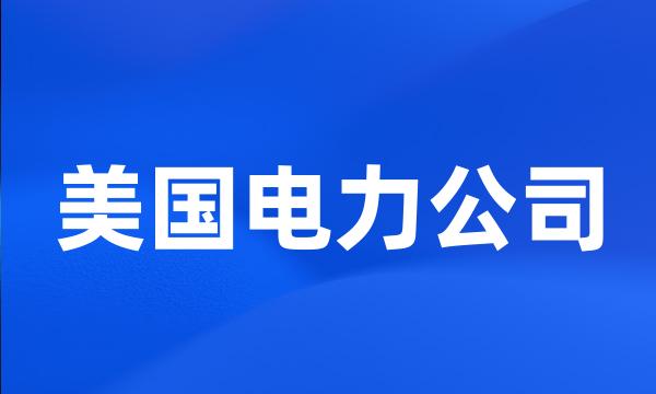 美国电力公司