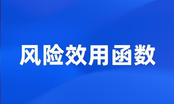 风险效用函数