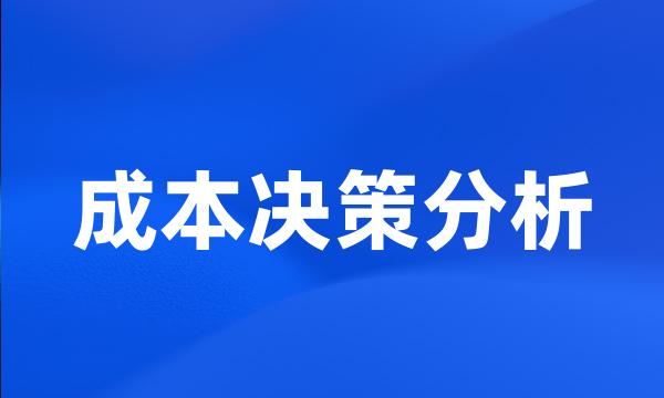 成本决策分析