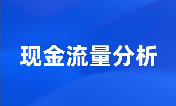 现金流量分析