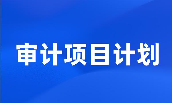 审计项目计划