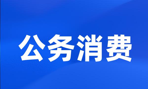 公务消费