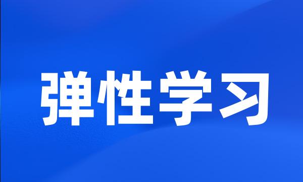 弹性学习