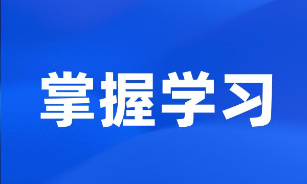 掌握学习