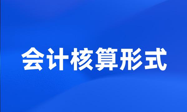 会计核算形式