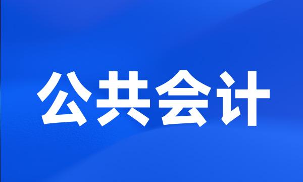 公共会计