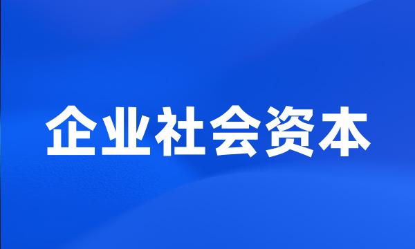 企业社会资本