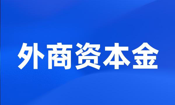 外商资本金