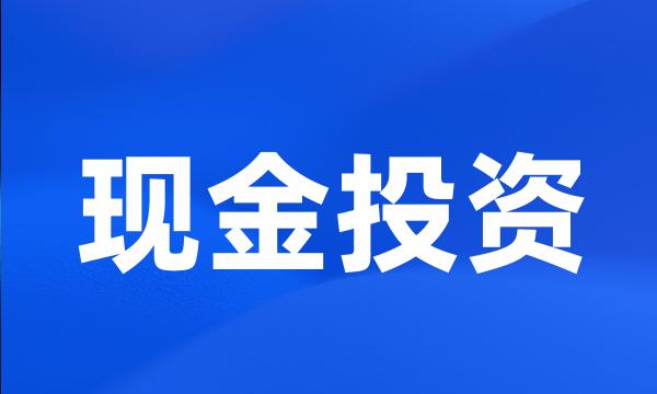 现金投资