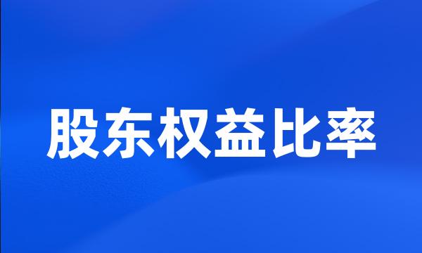 股东权益比率