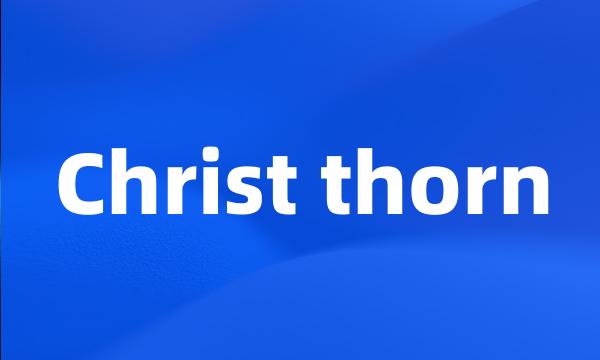 Christ thorn