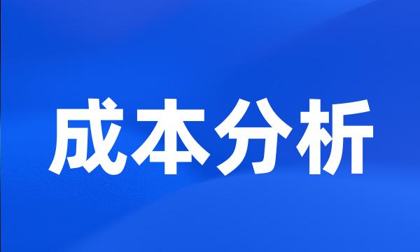 成本分析