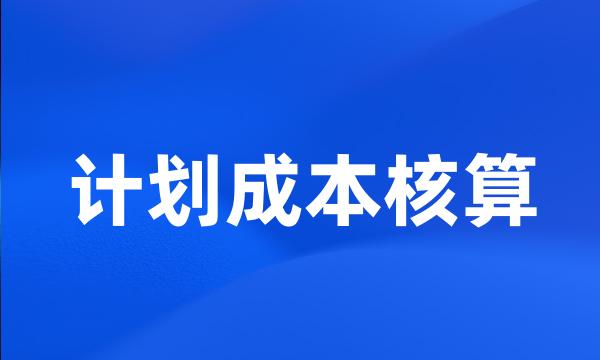 计划成本核算