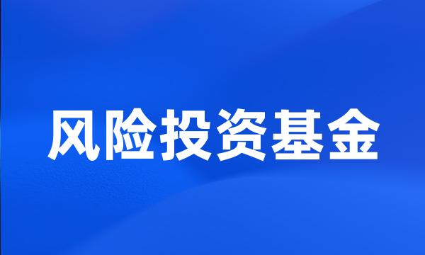 风险投资基金