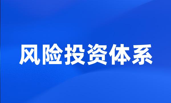 风险投资体系