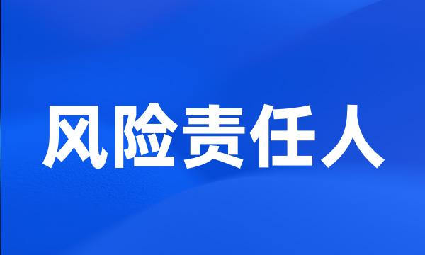 风险责任人