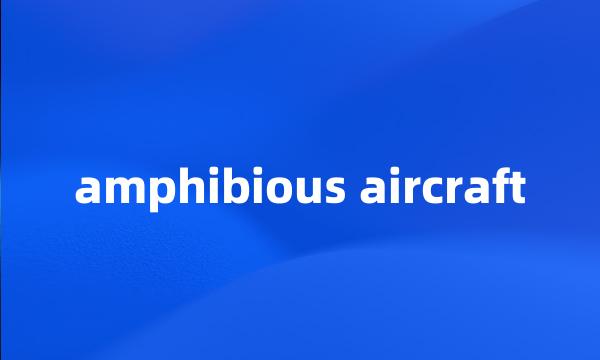 amphibious aircraft