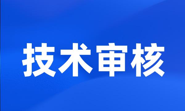 技术审核