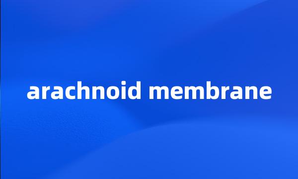 arachnoid membrane