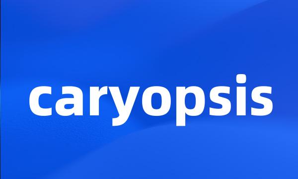 caryopsis