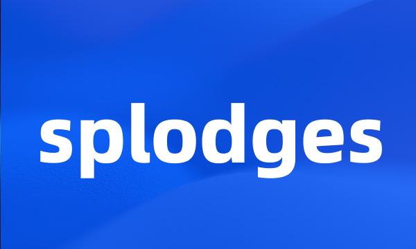 splodges