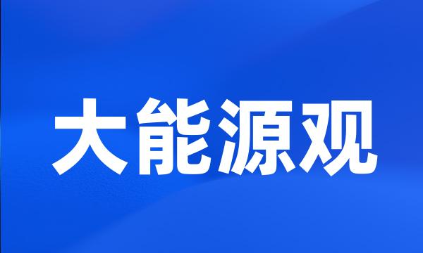 大能源观