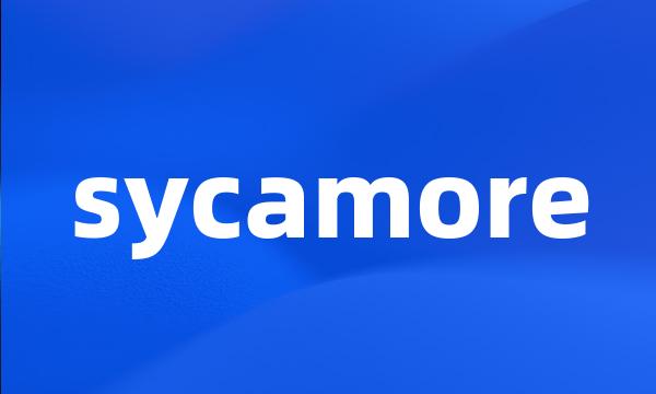 sycamore