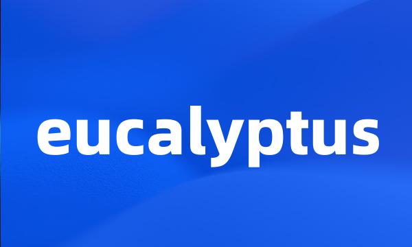 eucalyptus