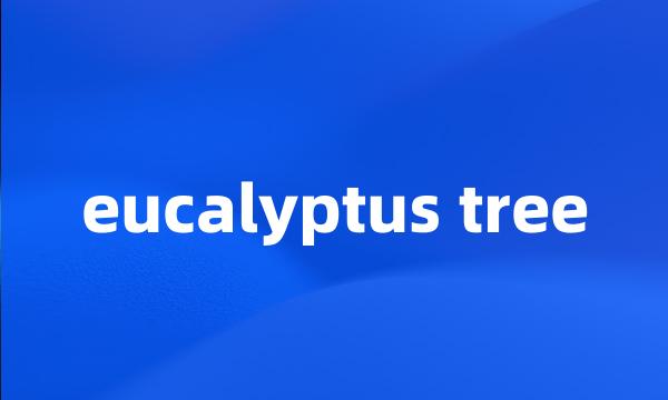 eucalyptus tree