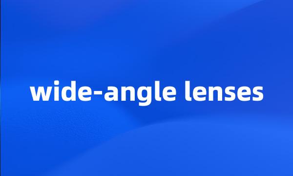 wide-angle lenses