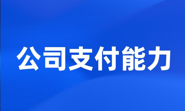 公司支付能力