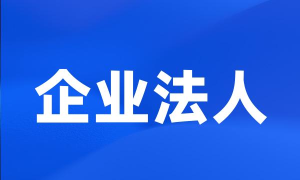 企业法人