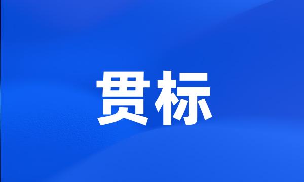 贯标