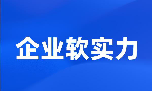 企业软实力