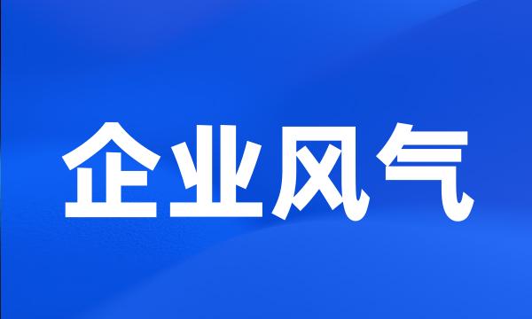 企业风气