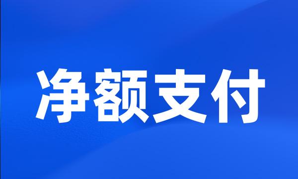 净额支付