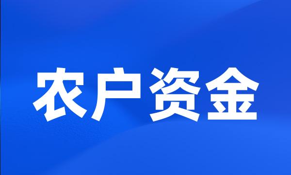 农户资金