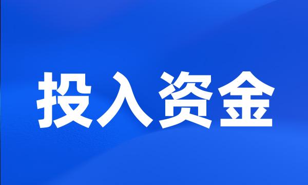 投入资金