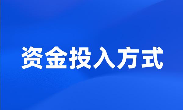 资金投入方式