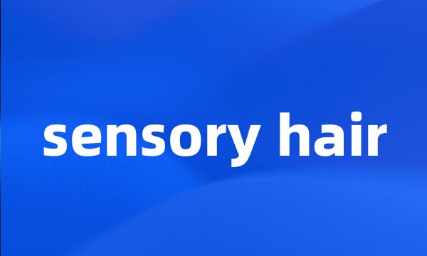 sensory hair