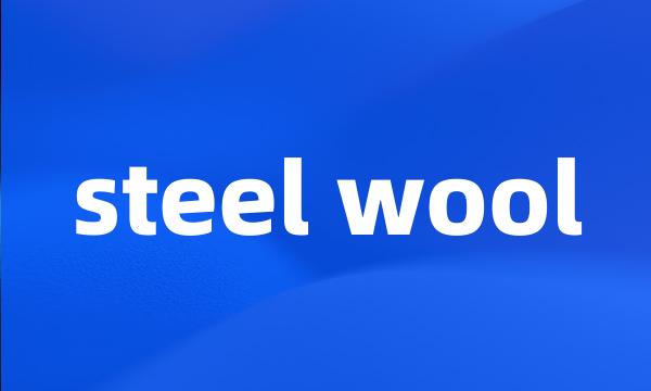 steel wool