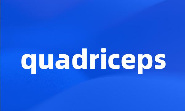 quadriceps