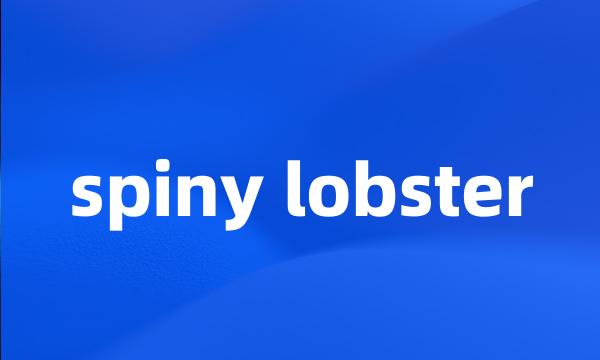 spiny lobster