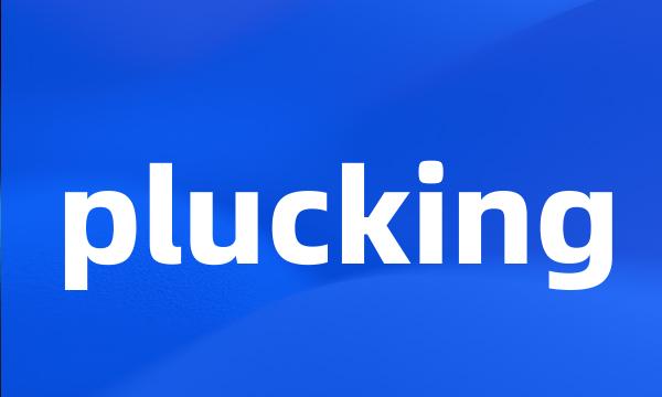 plucking