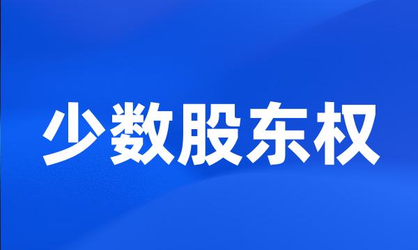 少数股东权