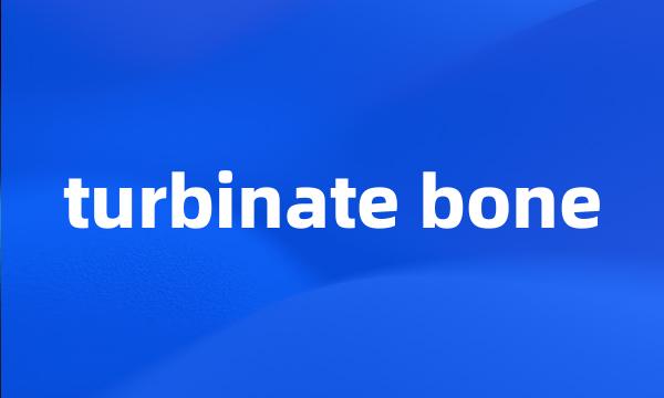 turbinate bone